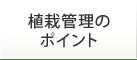 植栽管理のポイント