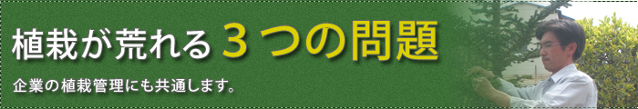 植栽が荒れる3つの問題～企業の植栽管理にも共通します。～
