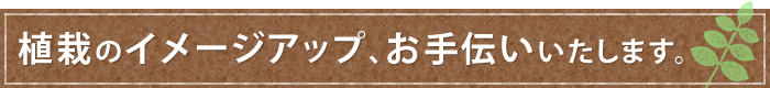 植栽のイメージアップ、お手伝いいたします。